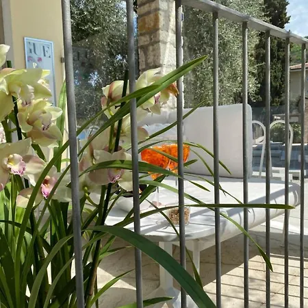 Baia Dei Pini Hotel 3*