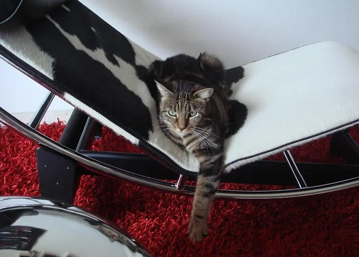 Hotel Baia Dei Pini Torri Del Benaco